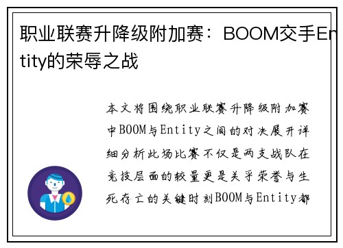 职业联赛升降级附加赛：BOOM交手Entity的荣辱之战